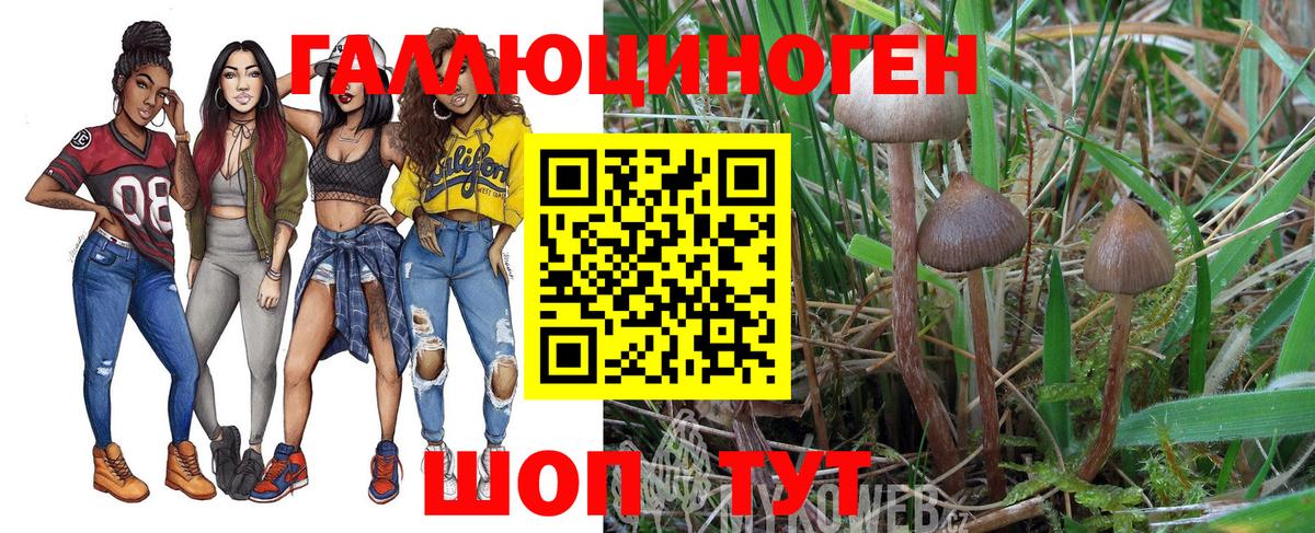 Псилоцибиновые грибы мицелий Сертолово