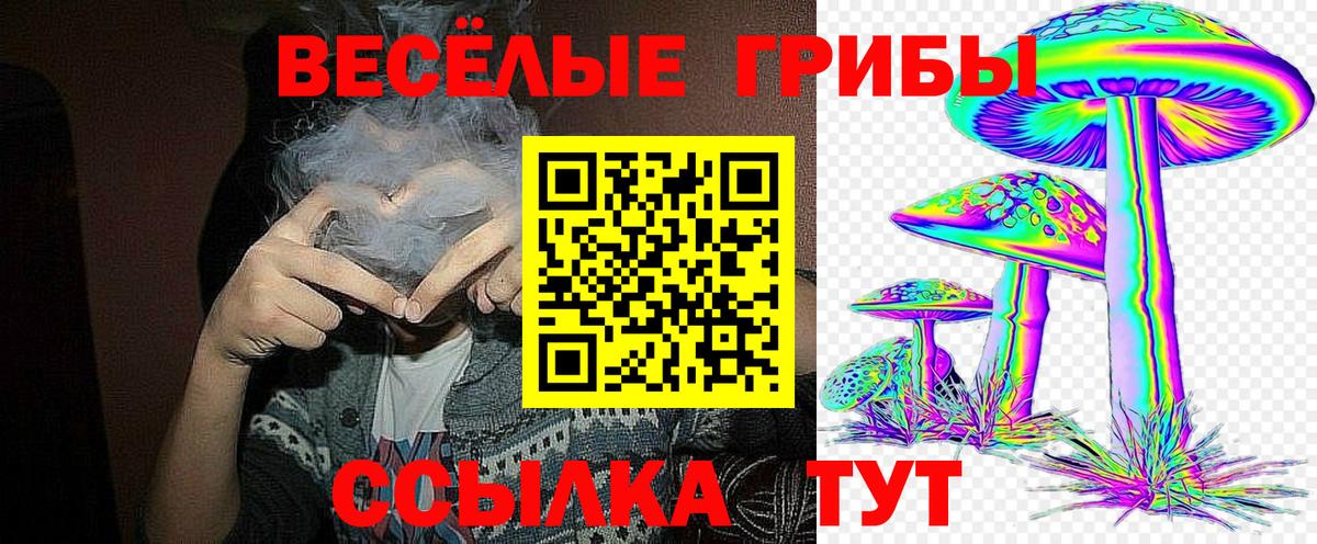 Сертолово  Псилоцибиновые грибы Cubensis  Вход с VPN  Галлюциногенные грибы мицелий 